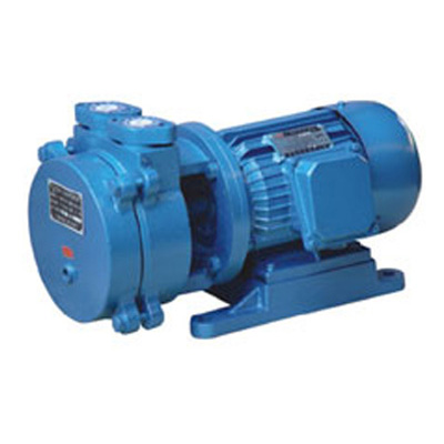  SK direct connection water ring vacuum pump